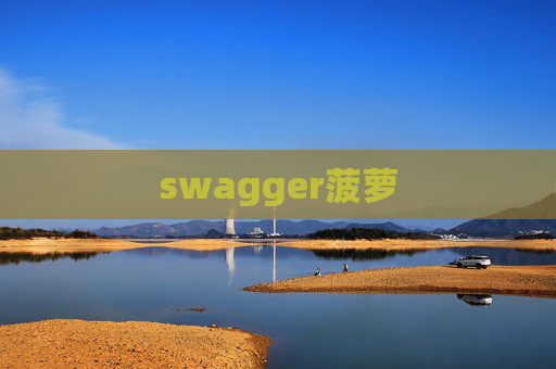 swagger菠萝